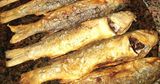 Fried Medium Grey Mullet Fish