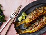 Gilthead Bream Fish