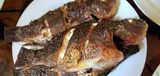 Grilled Small Tilapia Fish