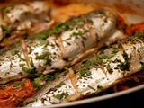 Mackerel