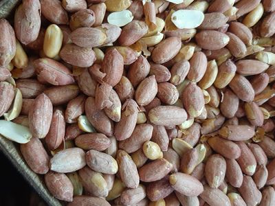 Aswani Peanut