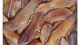Dutch Grey Mullet Roe Kilo