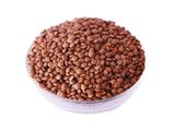 Lentil