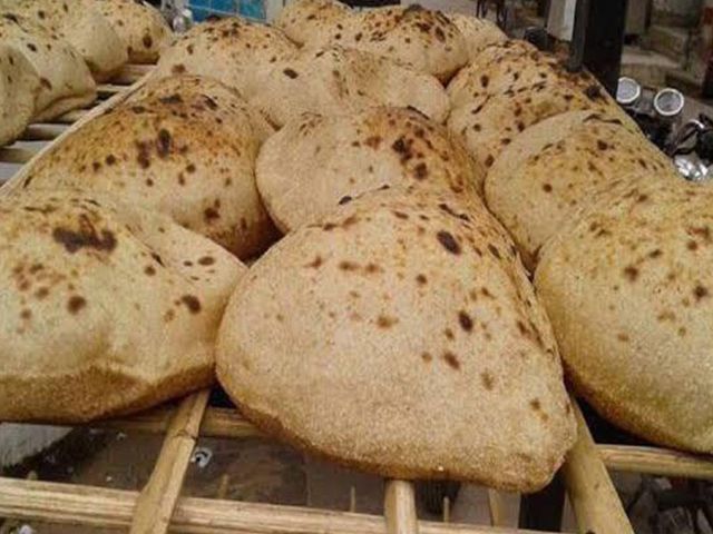 Tourist Baladi Bread