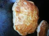 Squid Pie