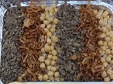 Large Foil Koshary Platter