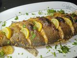 Sea Bass Fish