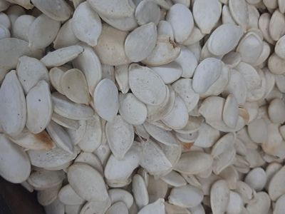 White Leb With Pumpkin