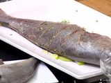 Croaker Fish