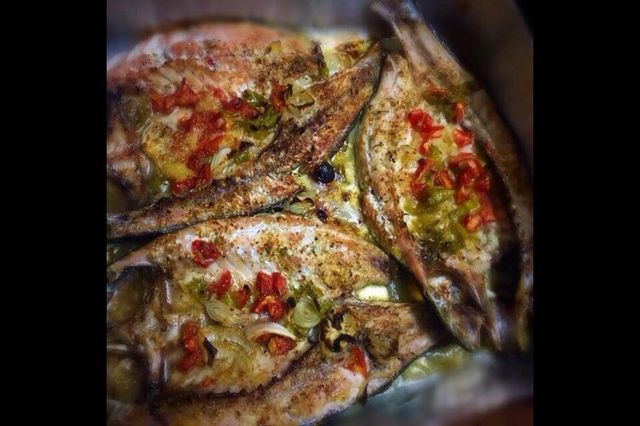 Grey Mullet Fish Meal