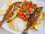 Tilapia Meal