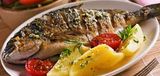 Gilthead Bream Fish Meal