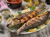 Sea bass Meal