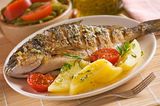 Tilapia Fish Meal