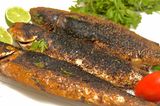 Grey Mullet Fish Meal