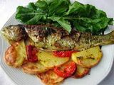 Mackerel Meal