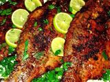 Grouper Fish