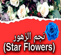 Star Flowers logo