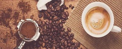Second Cup photo 1