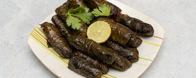 فيجا فروتس photo 1