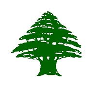 Lebanese Juices And Coffee Shop
