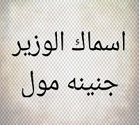 Asmak Al Wazir Genena Mall logo