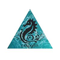 Cando317