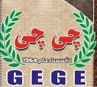 GE GE logo