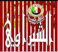 El Shabrawy Vencia logo