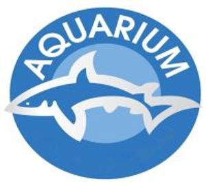 Aquarium Delivery Service In Egypt 