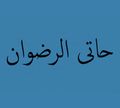Haty El Radwan logo