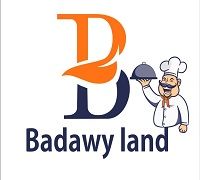 Badawy land logo