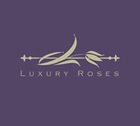 Luxury roses