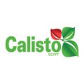 Calisto logo
