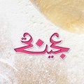 Agina logo