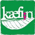 Kaefin logo