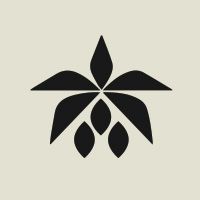 Boba Palmera