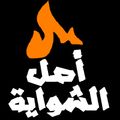 Asl Elshawya logo