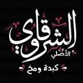 Elsharkawy Elasly logo