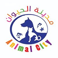 Animal City