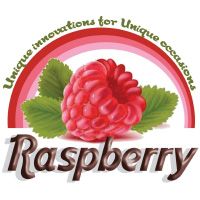 Raspberry logo