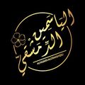 ALYASMIN ALDIMASHQIU logo