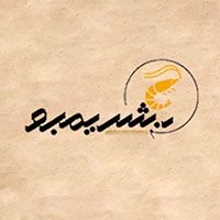 Dr.Shrimpo logo