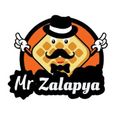Mr Zalabya logo