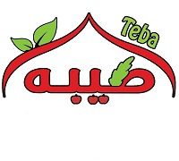 Teba logo