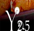 Y 25 logo