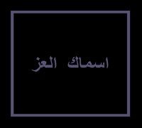 Asmak El Ezz logo