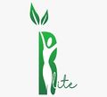 B-Lite logo