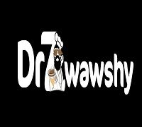 Dr7wawshy logo