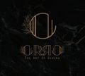 ORRO logo